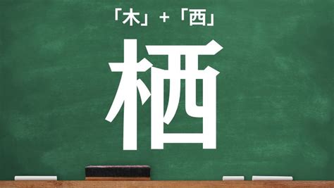 木象|木へんに象で「橡」は何て読む？